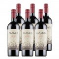 Vinos Argentinos Ofertas en Cajas de 6 Botellas