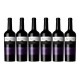 Trumpeter Reserva Malbec de Rutini Wines Caja de 6 Botellas